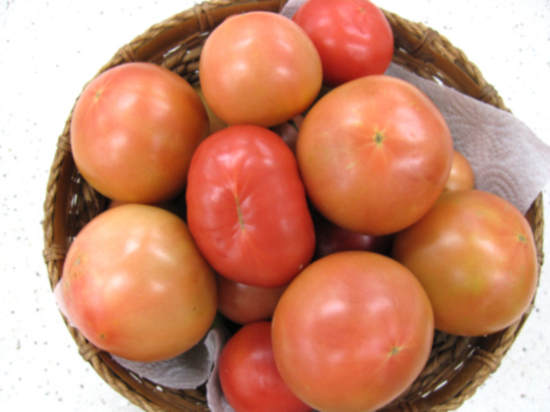 토마토(1kg.유기농)