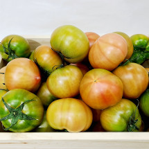 토마토(대저/1kg/무농약)